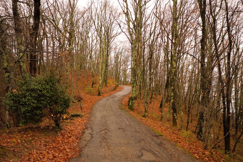 Photograph by Роман Сычев