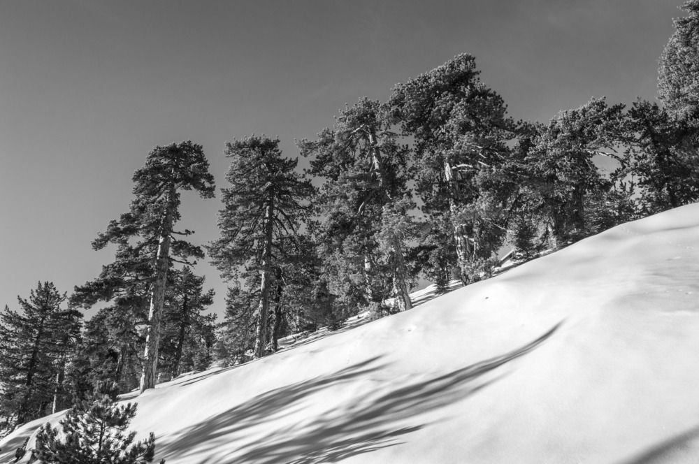 Photograph by Ognyan Levashki