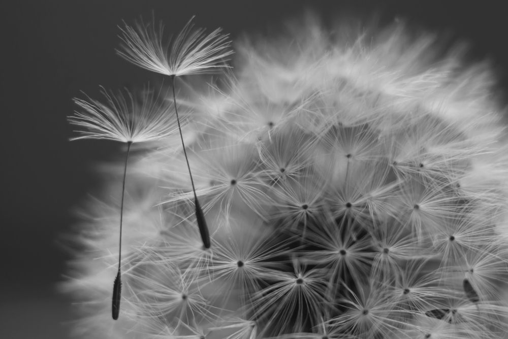 Двое на мягком покрывале