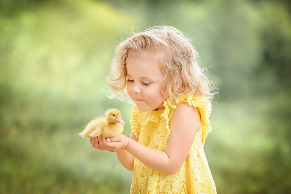 Новые друзья