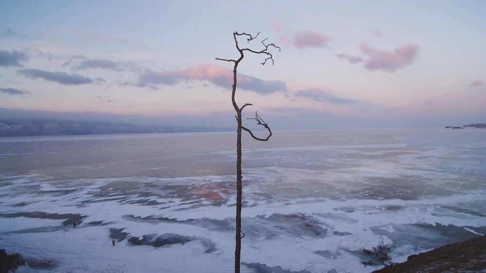 Кольца жизни