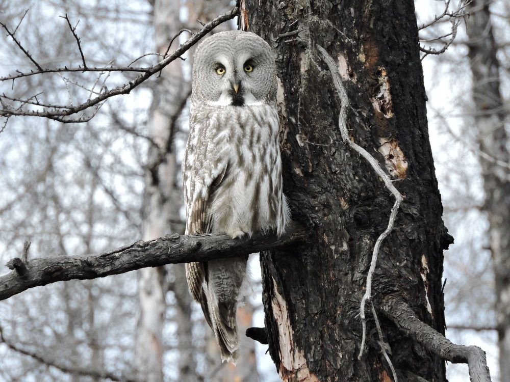 Взгляд вечности
