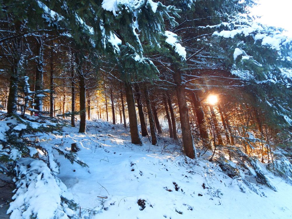 rayons solaires