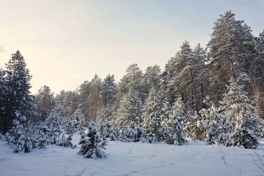 Белорусская Лапландия