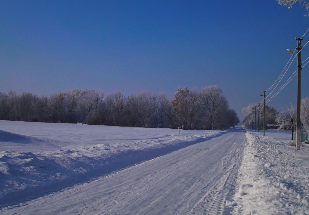 Photo #2952593