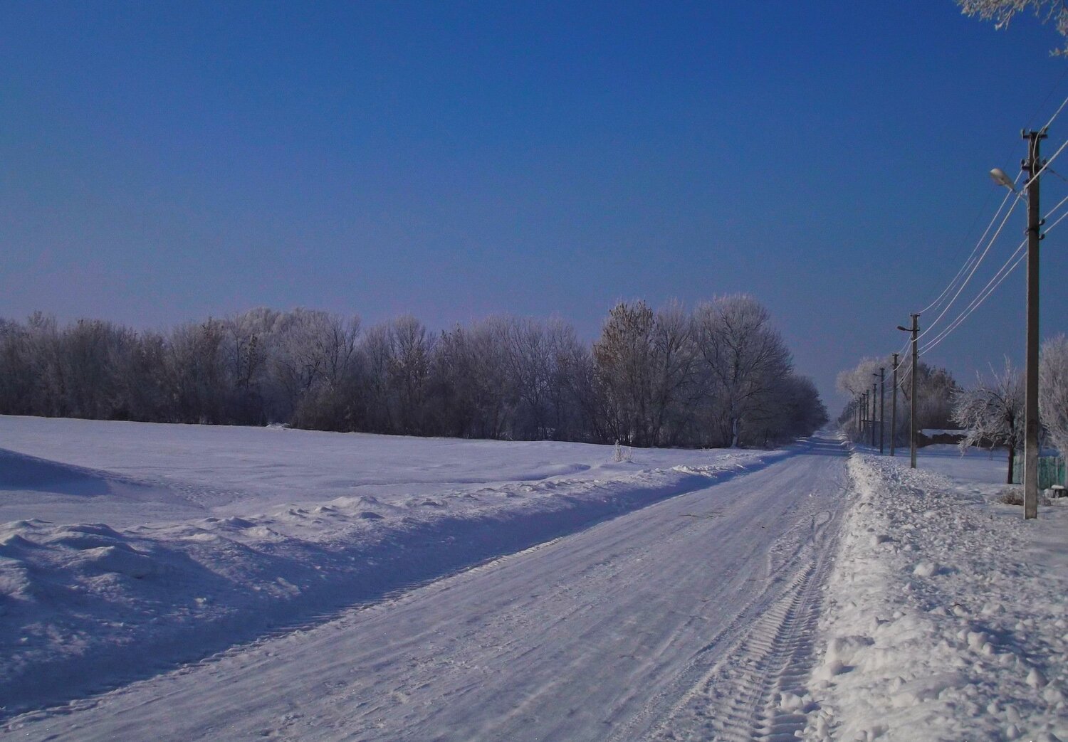Photo #2952593