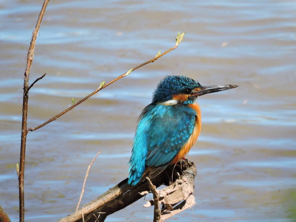 Минута отдыха