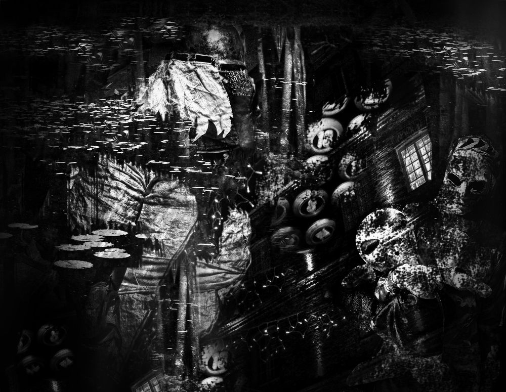 Трансплантация