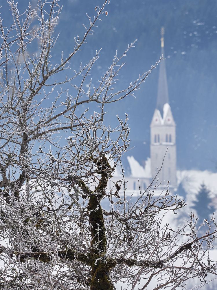 Photograph by Алексей Горшенин