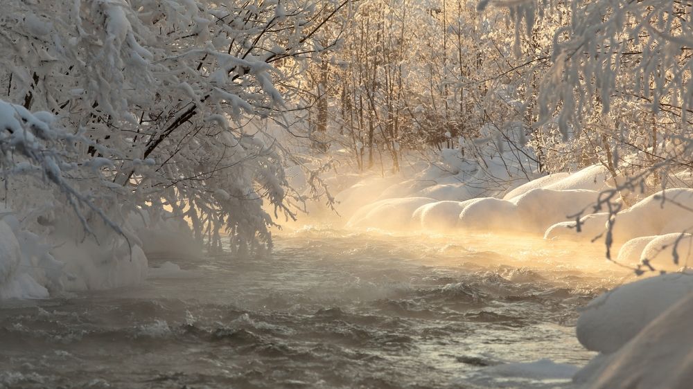 МОРОЗНЫЙ ДЕНЬ