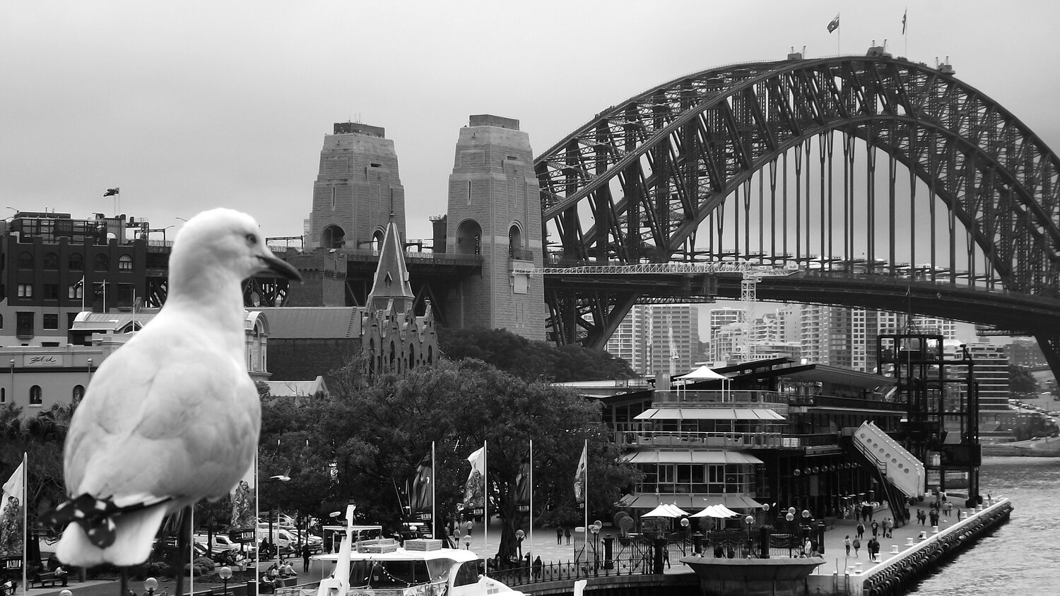 Sydney Harbour Bridge