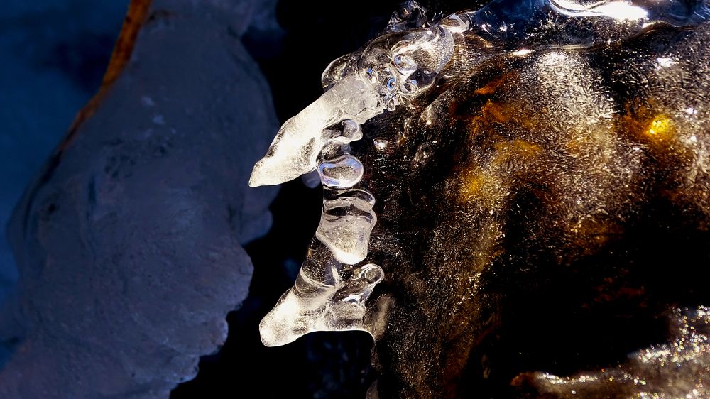 В госях у СКАЗКИ