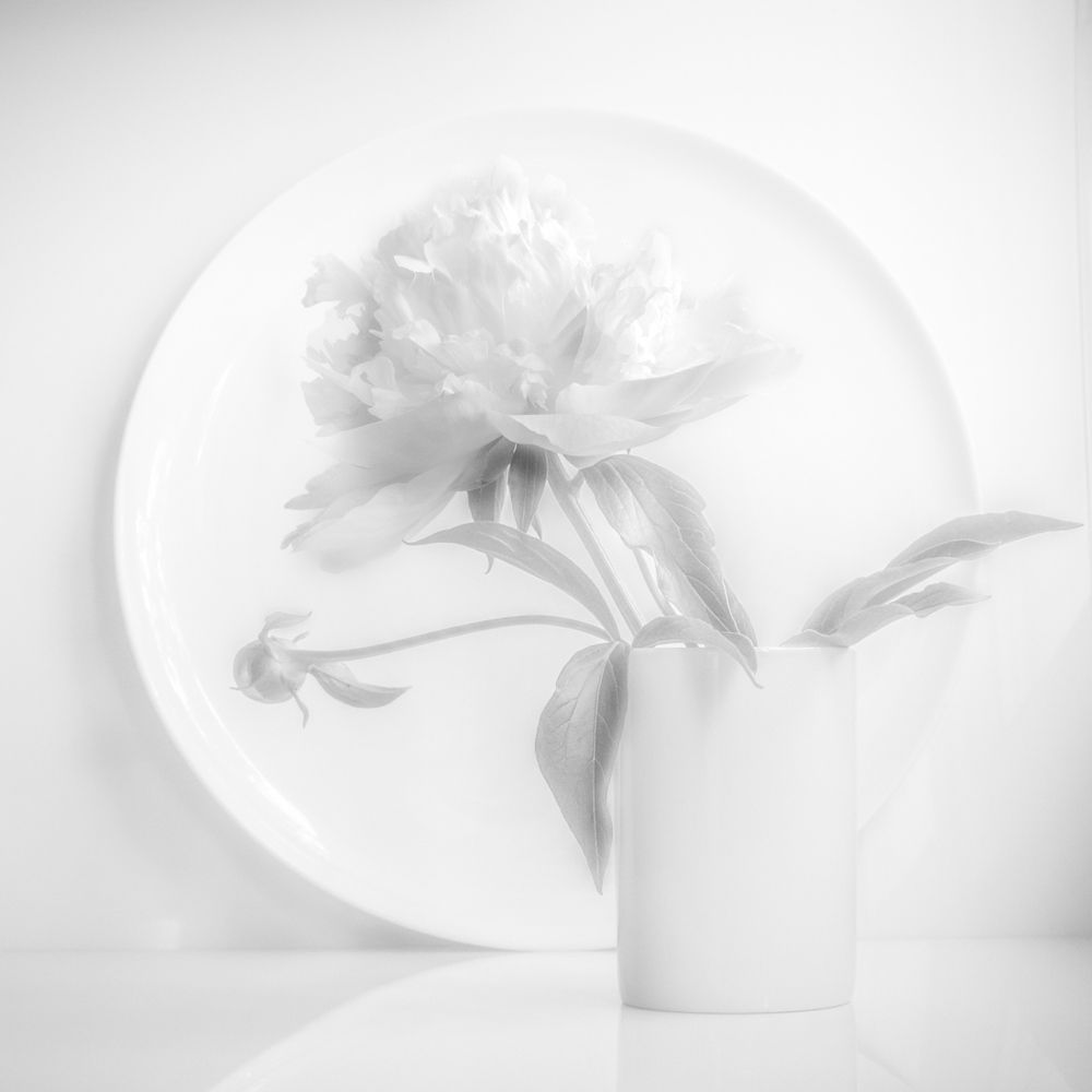 Photograph by Татьяна Макотра