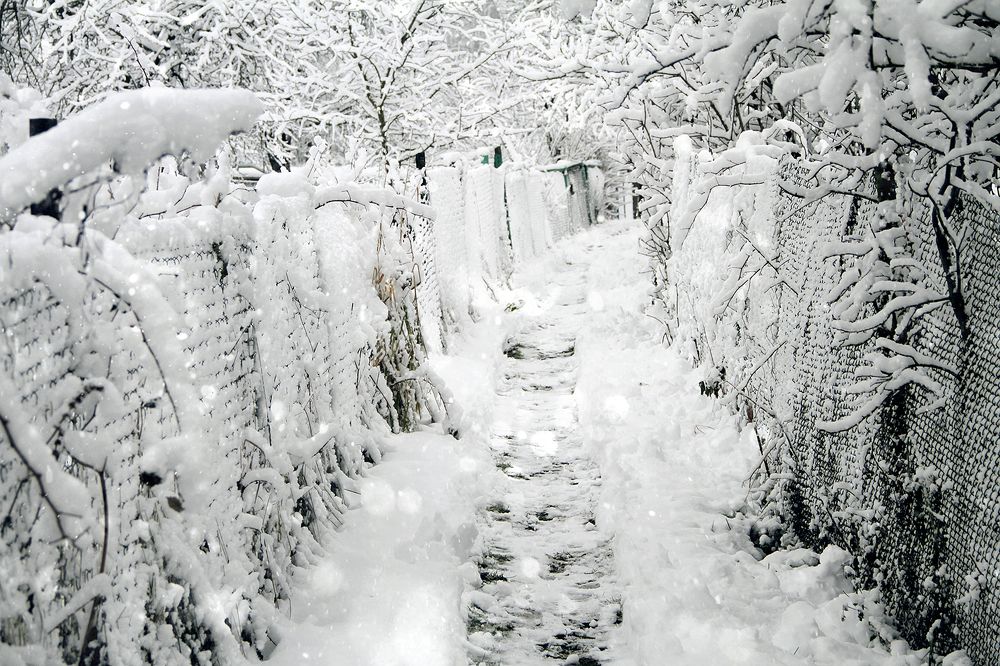 Photograph by Dzianis Mizhui