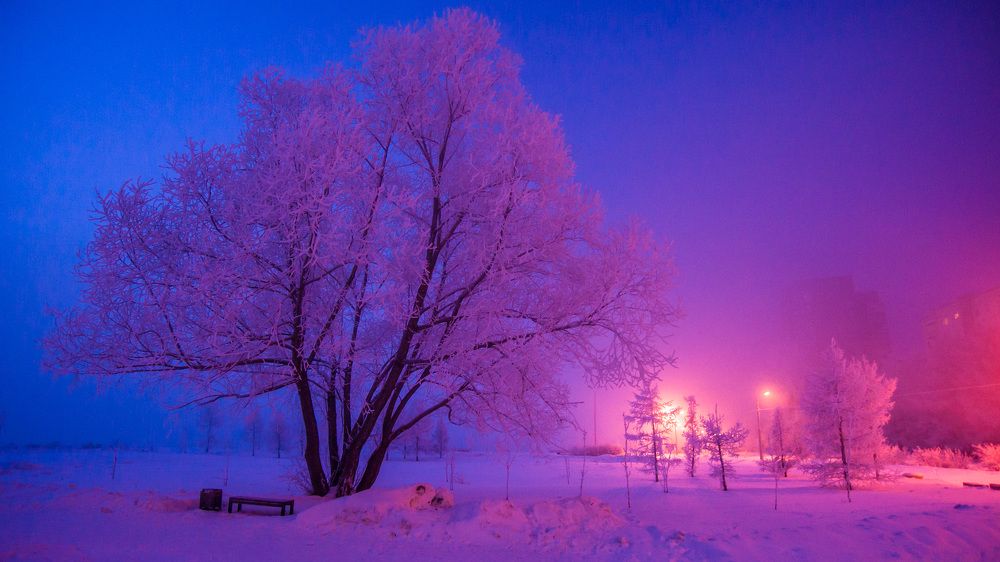 Фотография автора Денис Михайлов