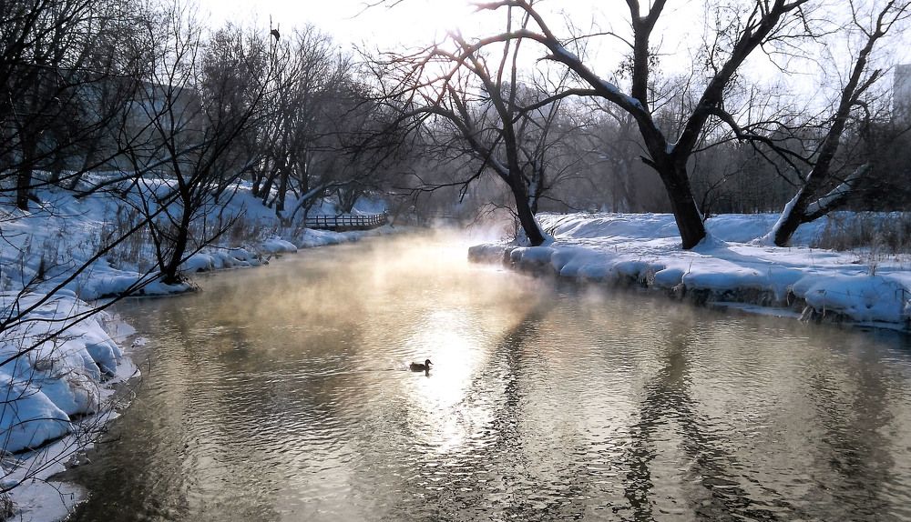 Photograph by Владимир Гречанинов
