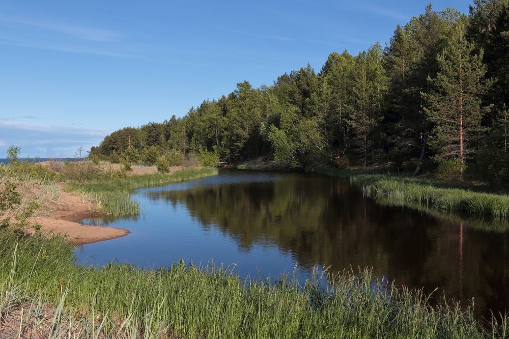 Летний день.