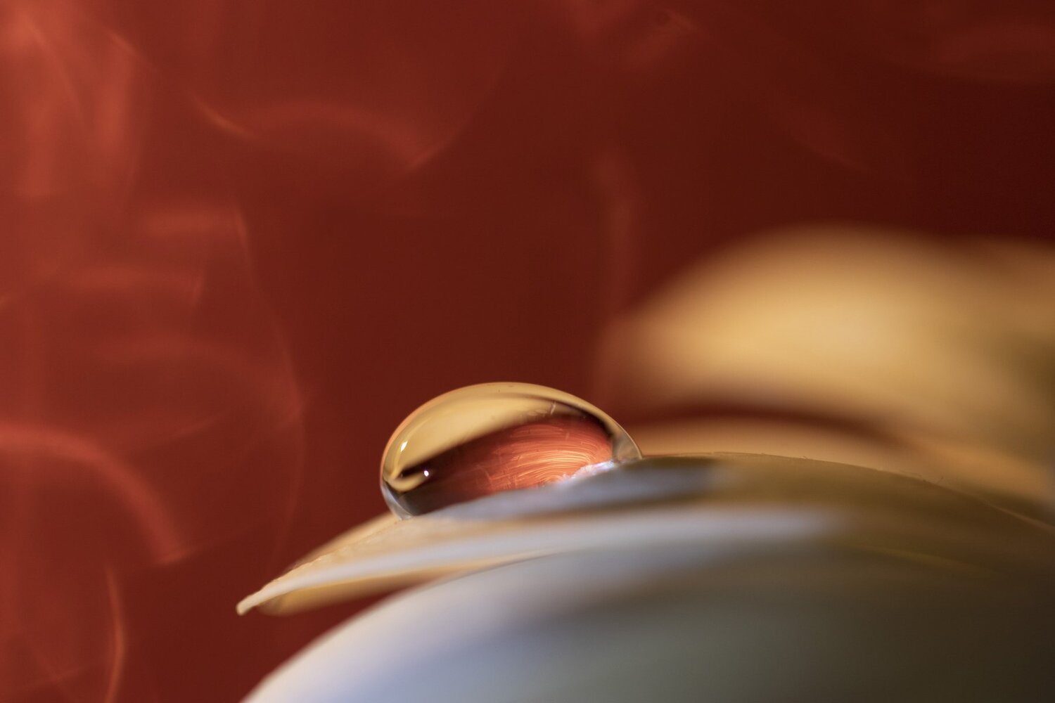 Photo #2953246