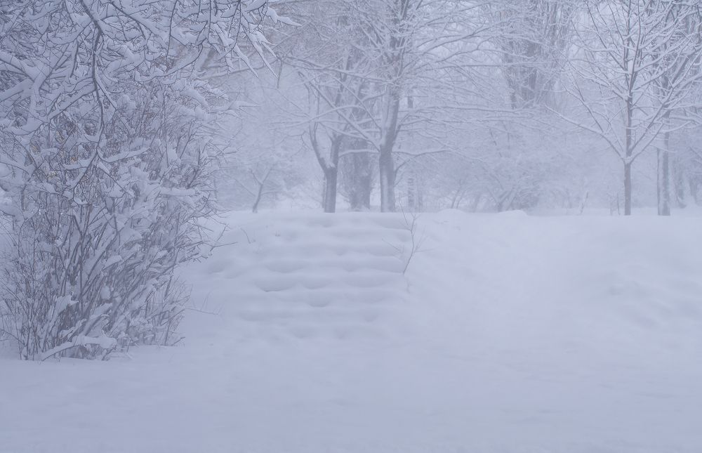 В белой пороше зимы...