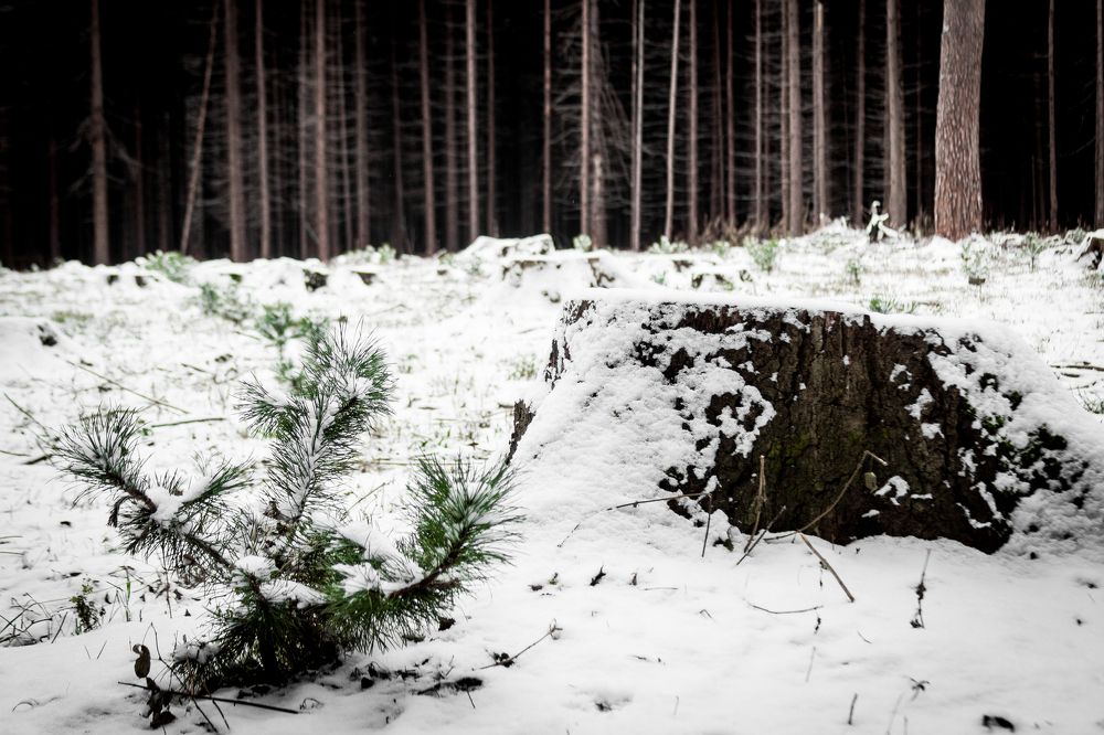Старое и новое