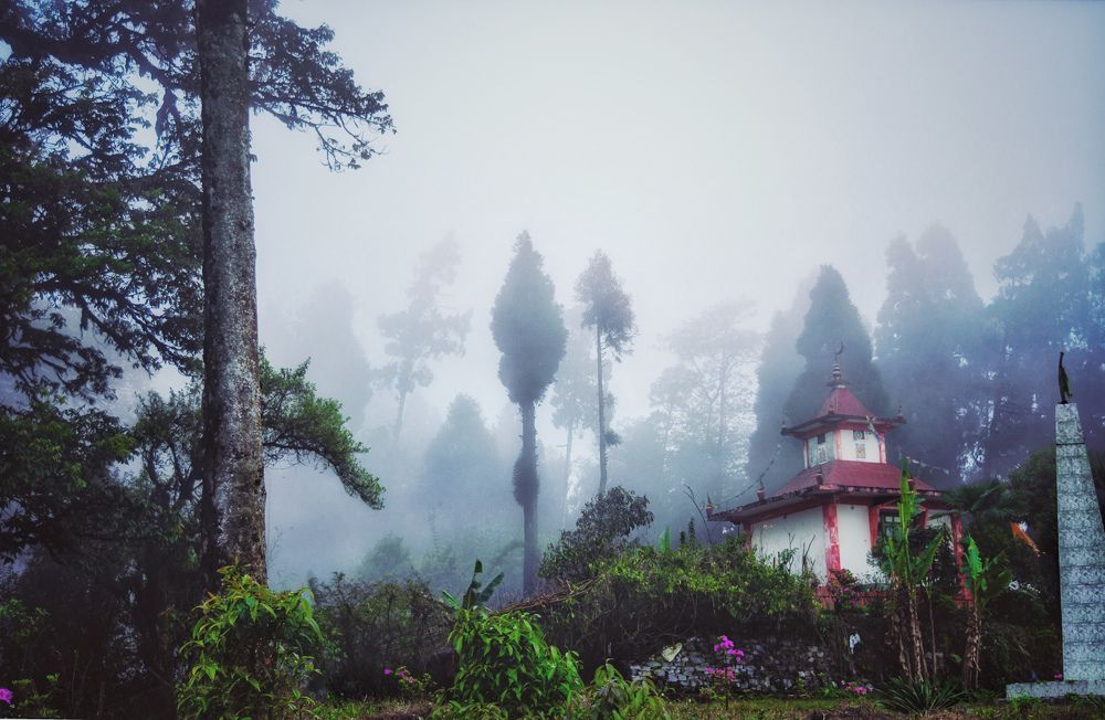 And into the forest I go, to lose my mind and find my soul.