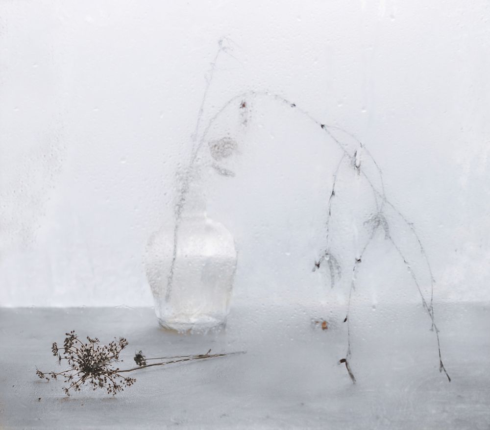 Мотив зимы с осенним отголоском