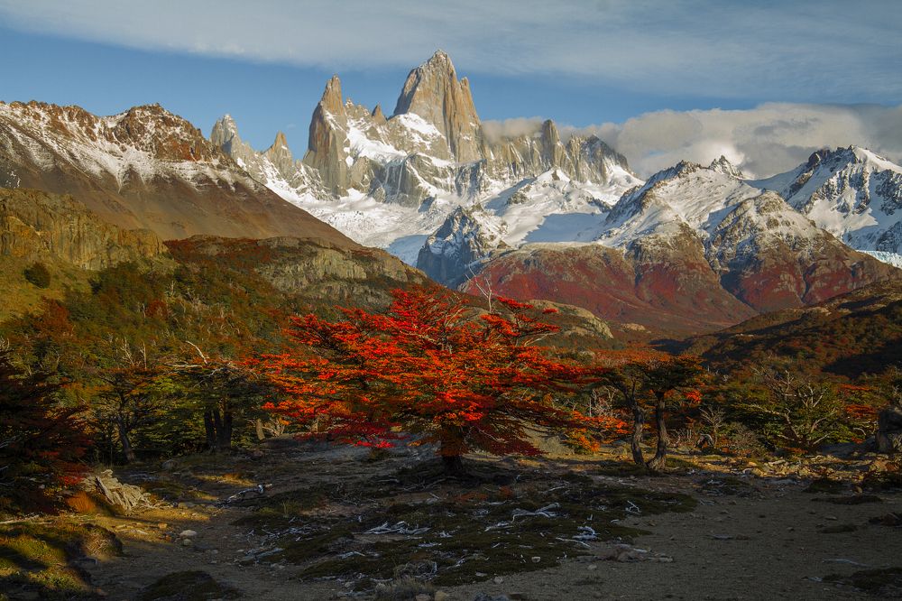 Осень в Фитц Рой