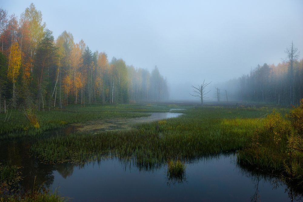 "В осеннем тумане"