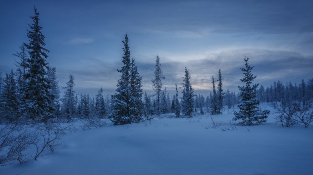 Закат на Ямале