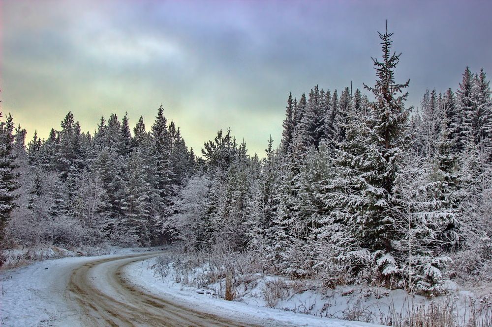 Photograph by Сергей Шаповалов