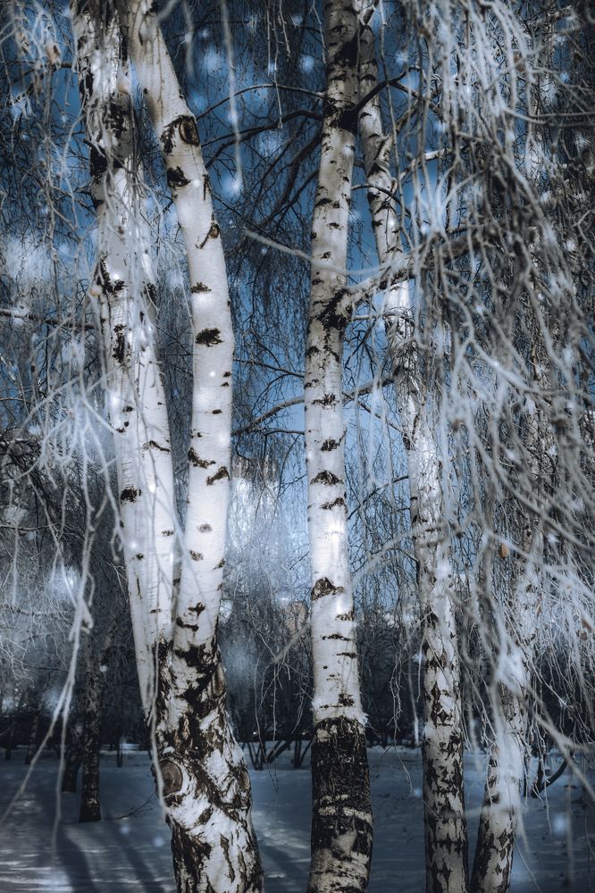 Среди берез