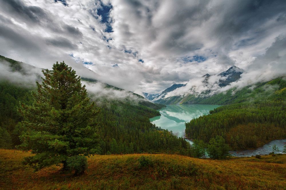 Туманное утро на Кучерлинском озере