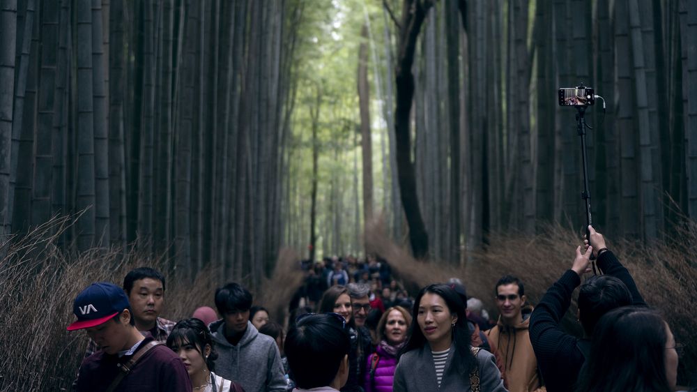Arashiyama Bamboo Groove Kyoto