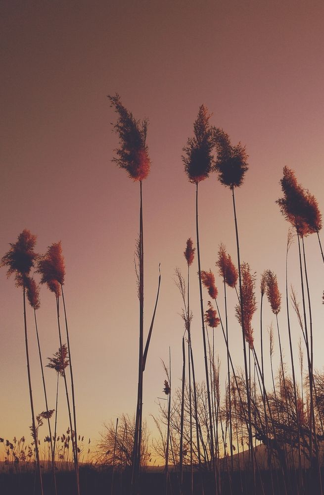 Photograph by Sergei