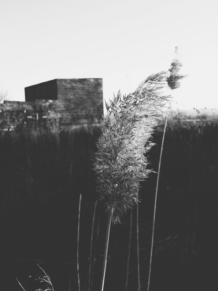 Photograph by Sergei