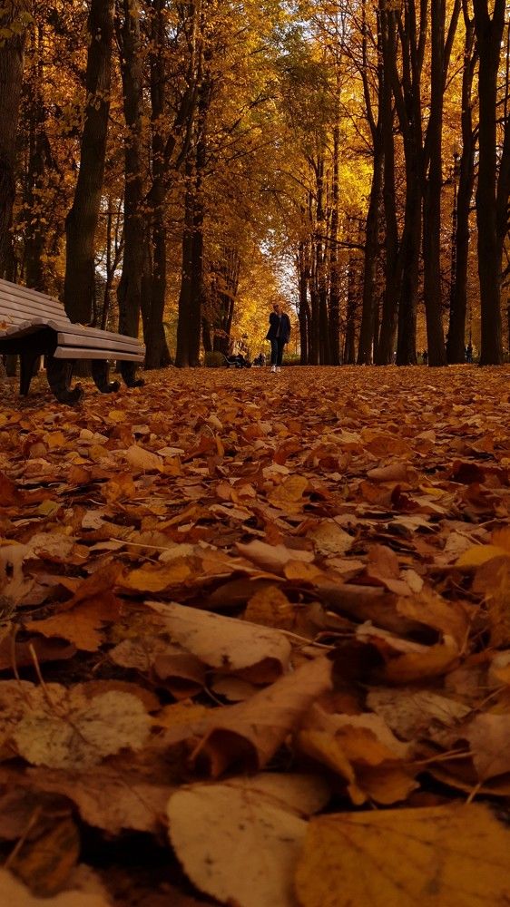 Photograph by Ирина Лыбо