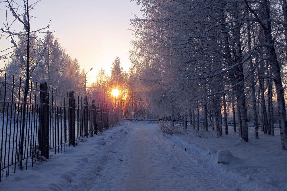Зимнее солнце.