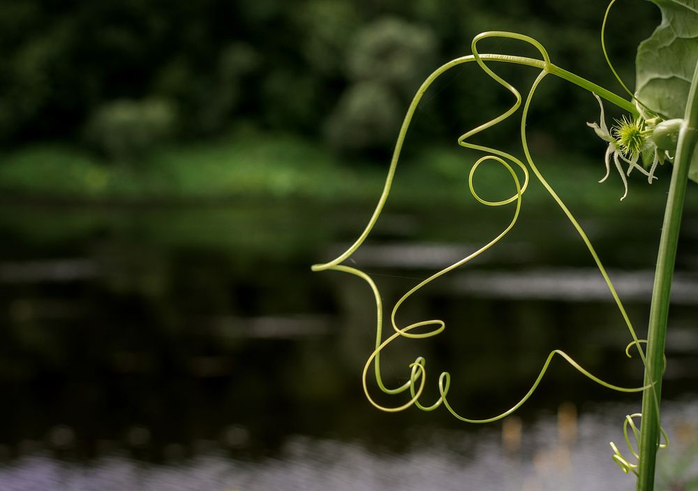 Заметки на полях