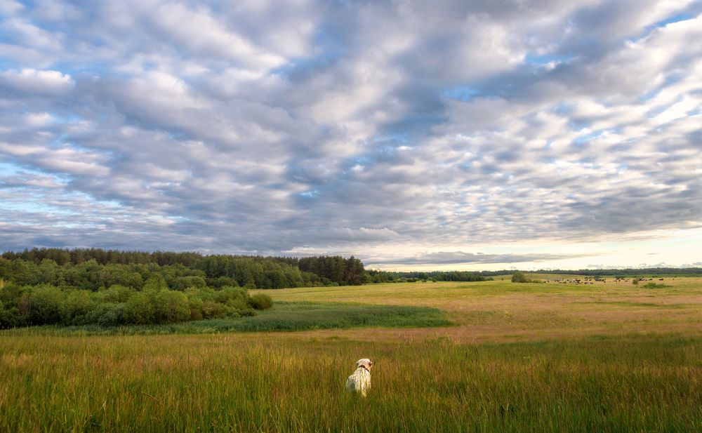 Белорусские просторы