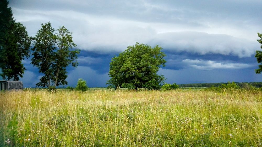 Перед грозой.