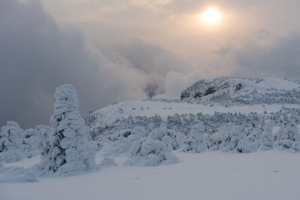 Зимнее солнце