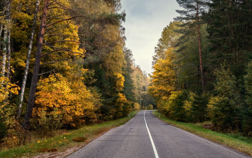 Осенними дорогами