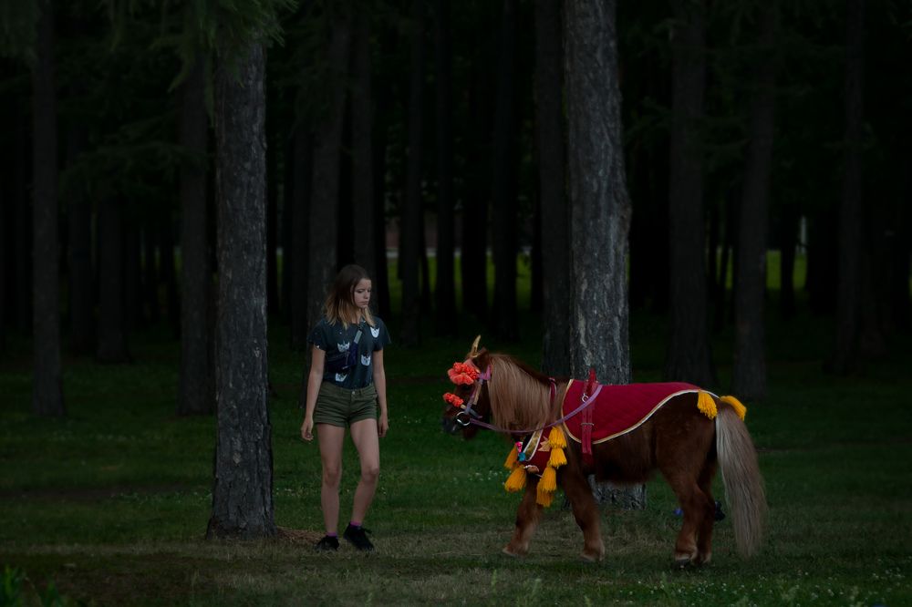 Городская сказка