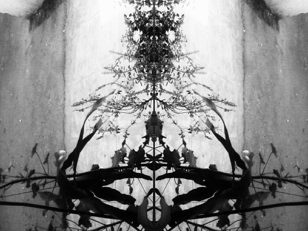 Art of  R E F L E C T I O N...