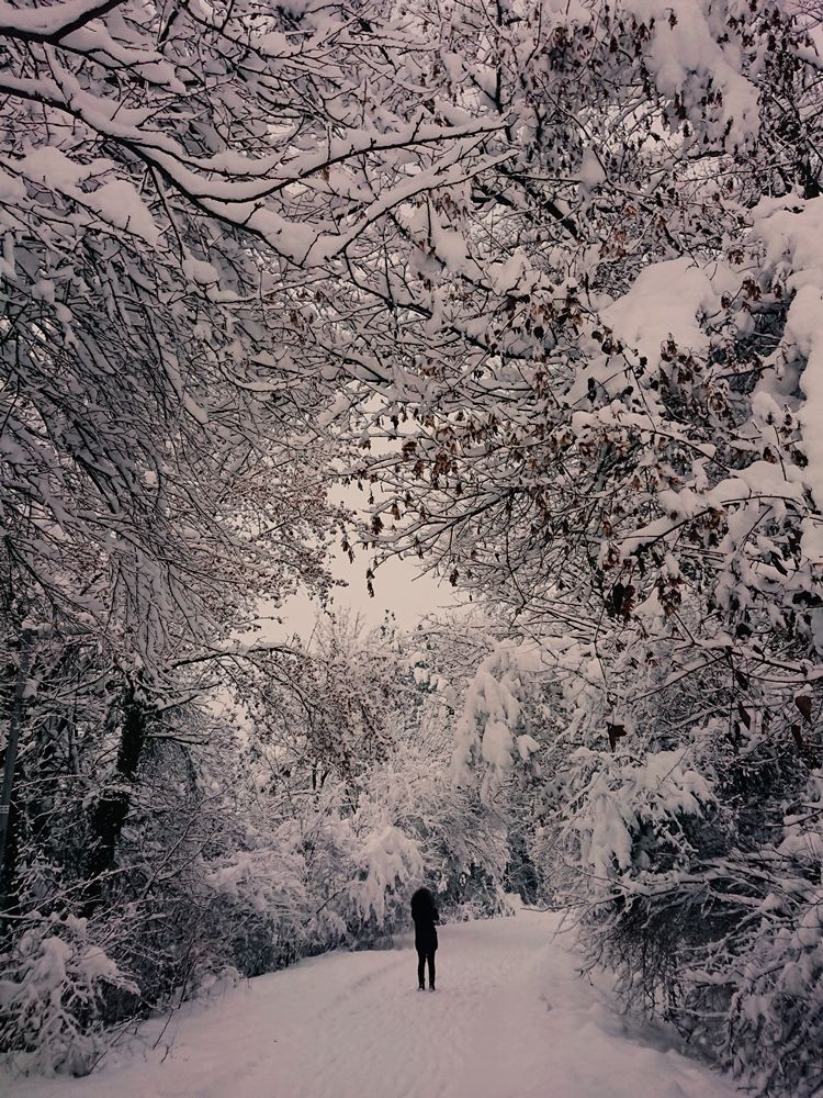 Beneath the snow covered tunnel