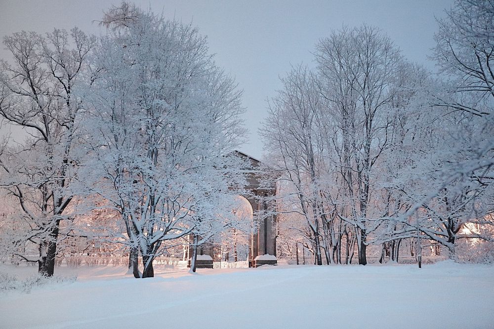 Гатчинский парк вечером