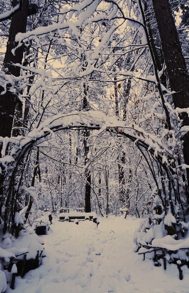 Art gallery in snow