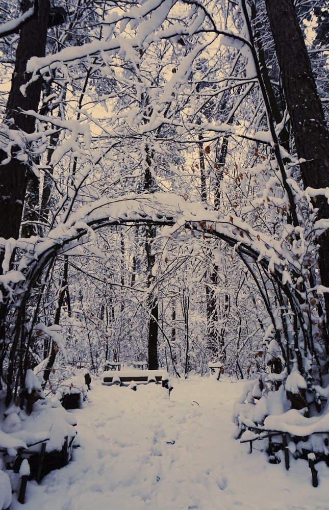 Art gallery in snow