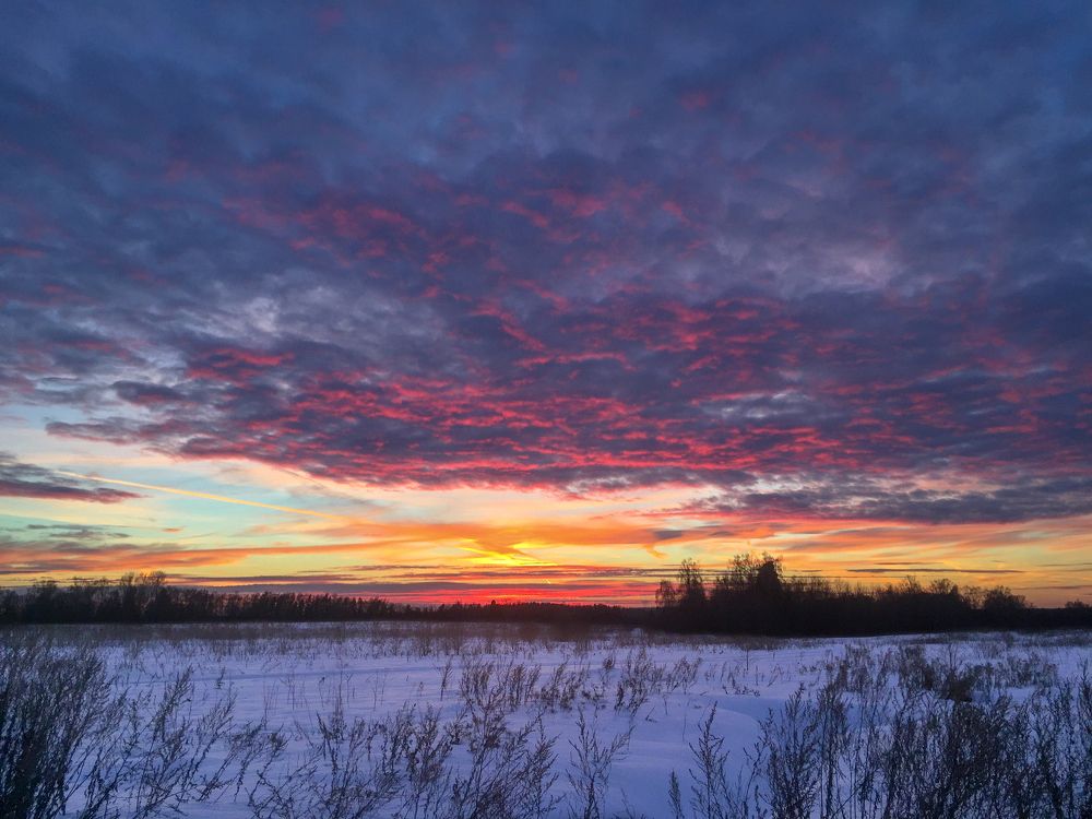 Пылающая зима