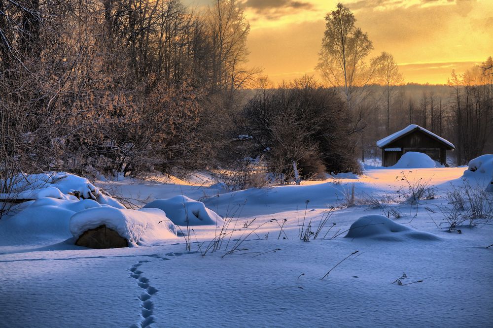 Заячьи тропы